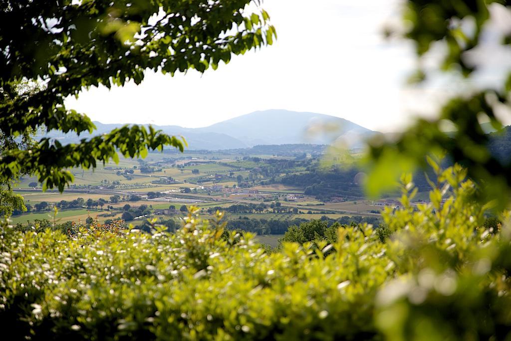 Agriturismo Le Colombe Assisi Exterior foto