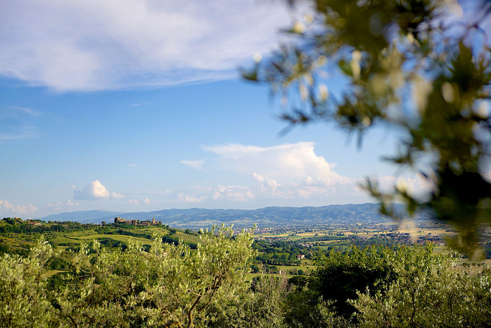 Agriturismo Le Colombe Assisi Exterior foto